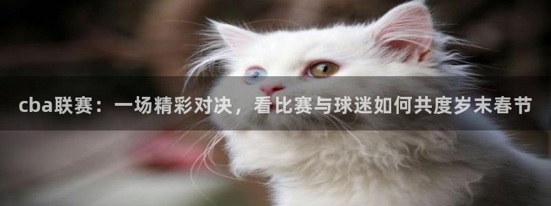 风速体育运动专营店怎么样